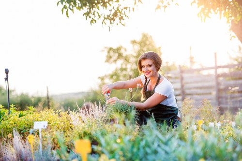 Team member inspecting a garden