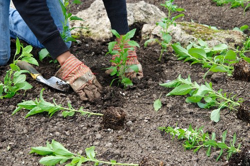 Woodchip and compost piles inside a mid-size processing area