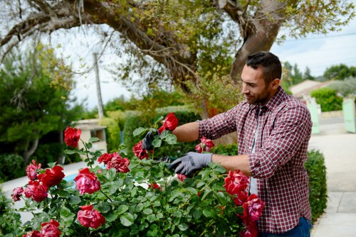 Seasonal garden maintenance by Gardeners Sutton
